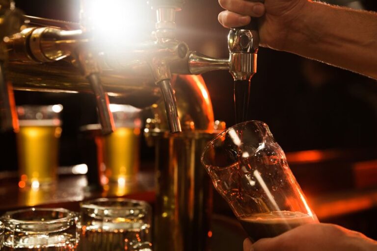 Cerveza, gastronomía y shows en la Cata Cervecera de Otoño de Avellaneda