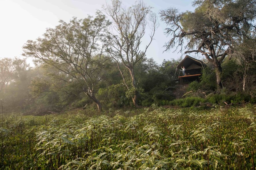 Destinos para Vacaciones de Invierno 2022: Parque Nacional El Impenetrable | Foto: Estrella Herrera