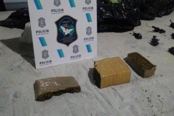 Un matrimonio fue detenido en 601 y 118 con más de medio kilo de marihuana