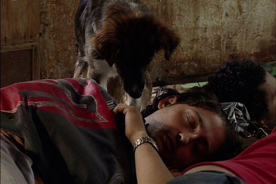 Ariel Staltari junto a Severino, el perro de 