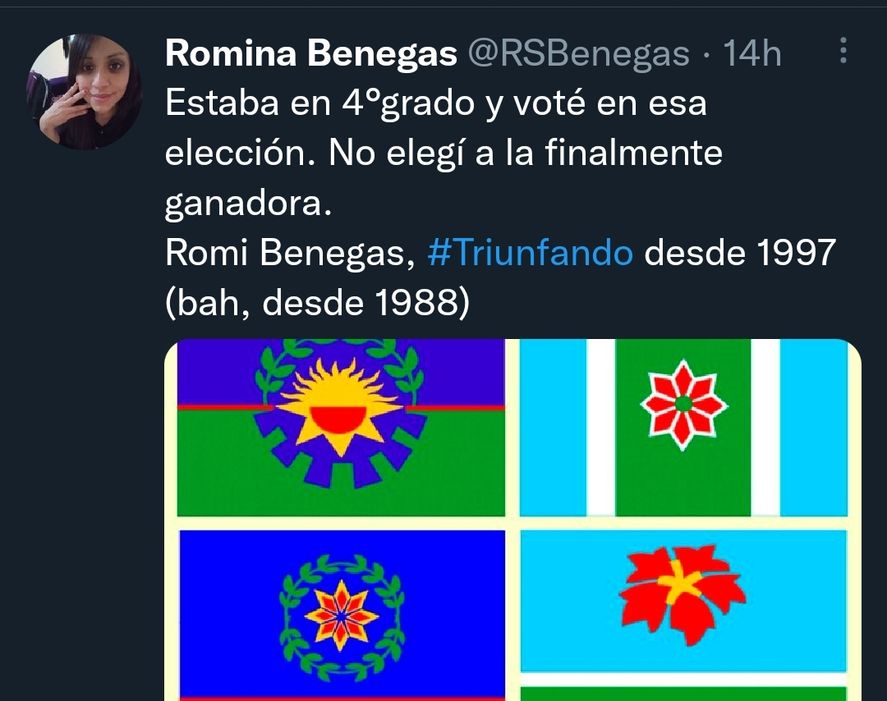 En redes los hoy adultos recuerdan sus tiempos de adolescencia eligiendo la bandera bonaerense en tiempos de Eduardo Duhalde como gobernador e impulsor de la insignia