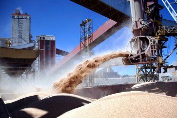 el campo celebra la suba del dolar, pero mira de reojo a las retenciones