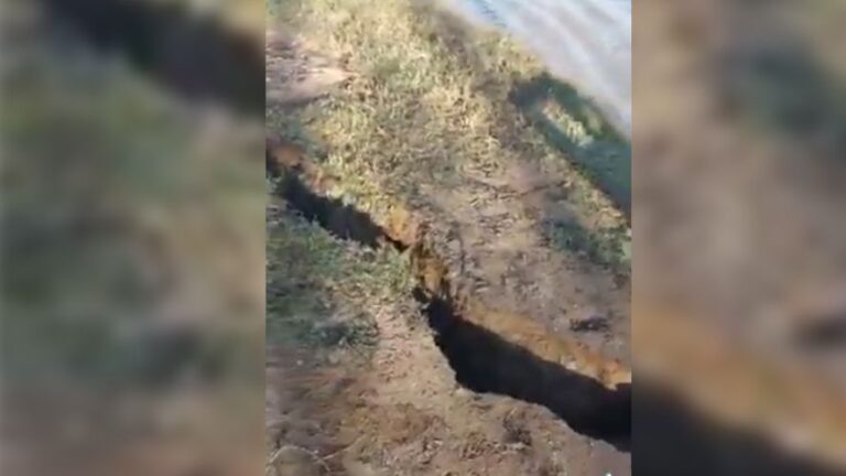 Video viral: hacían un asado y el río se tragó la parrilla