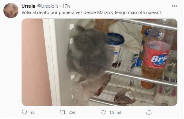 Así estaba la heladera de una usuaria de Twitter que mostró a su nueva 