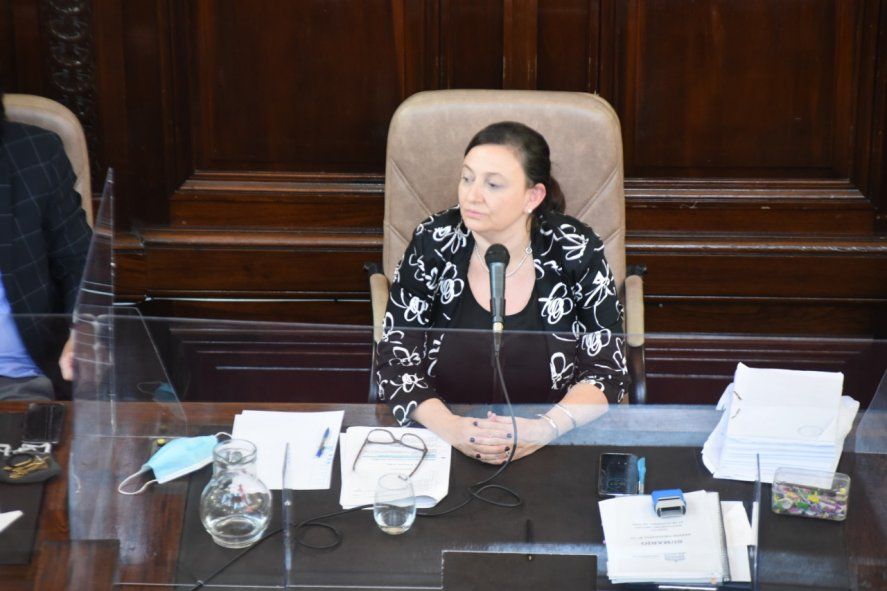 EL HCD de La Plata, bajo la presidencia de Ileana Cid, sancionó el Presupuesto 2021.