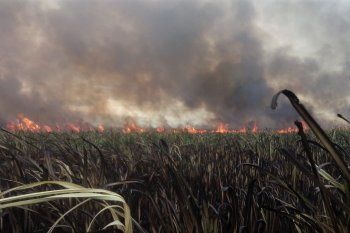Hudson: Bomberos extinguieron el incendio en la costa