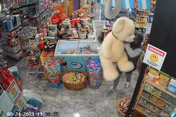 asi se robo un oso de peluche en un kiosco de olavarria