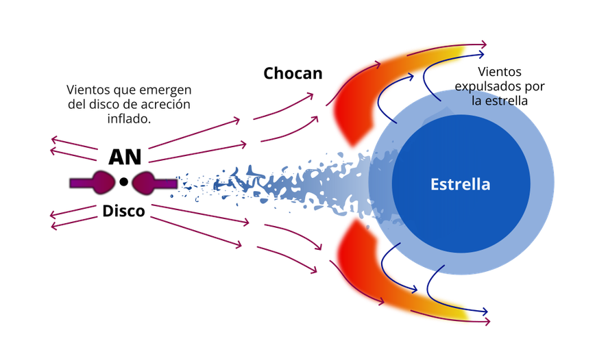 El esquema representa el perfil de la colisión de vientos en un sistema compuesto por un agujero negro (AN) a la izquierda y una estrella de gran masa a la derecha. Los vientos emergen del disco de acreción inflado que rodea al agujero negro y chocan contra los vientos expulsados por la estrella formándose ondas de choque en donde se aceleran partículas.