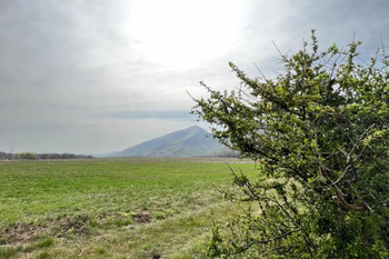 3 pueblos de la provincia para visitar estas vacaciones. En Dufaur se realizan recorridos hacia el Cerro Chaco