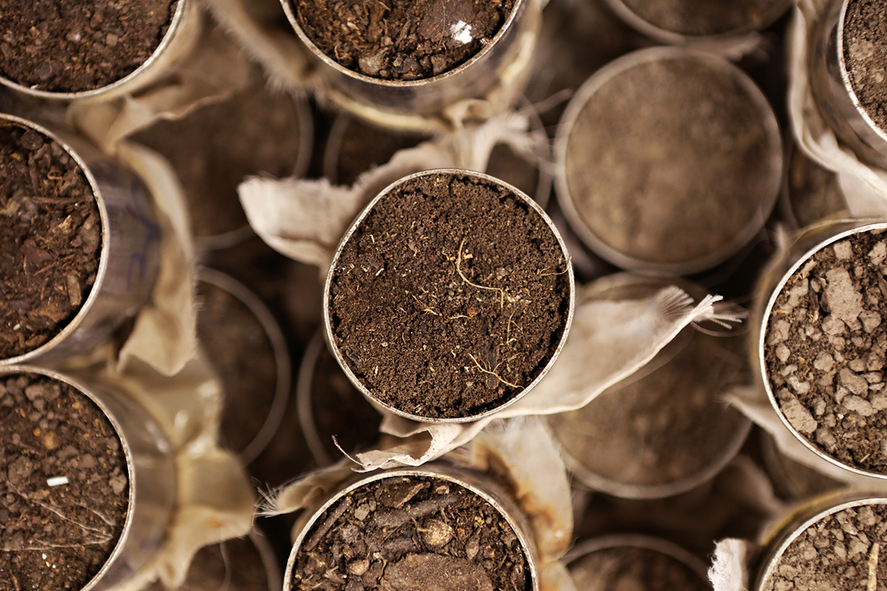La revista científica Soil Science Society of America Journal realizó un llamado especial a trabajos sobre prácticas de manejo para morigerar la degradación de suelos del orden Molisoles.