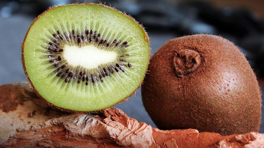 Este fin de semana se llevará a cabo la primera edición de la Fiesta del Kiwi, Mar y Sierras en la ciudad bonaerense de Miramar.