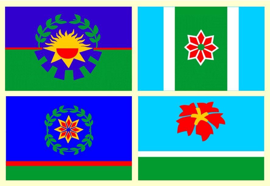 La bandera bonaerense elegida durante la gobernación de Eduardo Duhalde terminó siendo la primera de las 4 que llegaron a la final