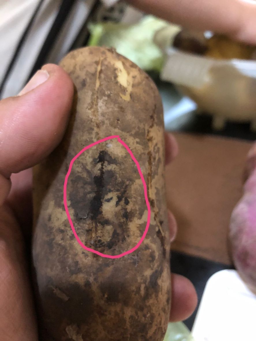 La imagen de la cara de Diego Armando Maradona en una papa, que ya lleva medio millón de visualizaciones