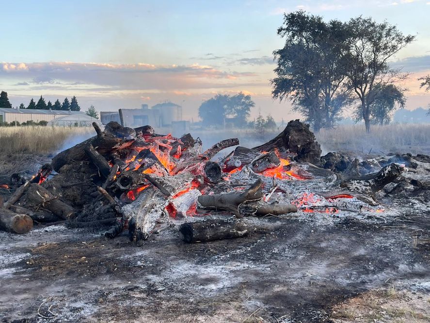 La leña incendiada había sido recolectada por el municipio tras el temporal que azotó a Olavarría. Iba a entregarse a sectores vulnerables durante el invierno.