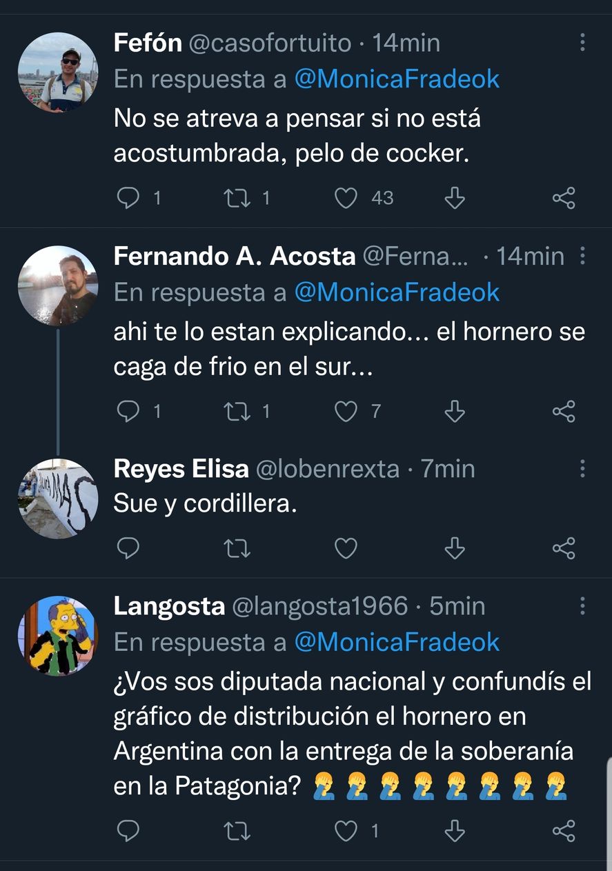 Los comentarios al mensaje erróneo de la Diputada Mónica Frade de Juntos por el Cambio, con la confusión entre el hábitat del hornero y la geografía de la Patagonia de Chile en los billetes de 20 pesos