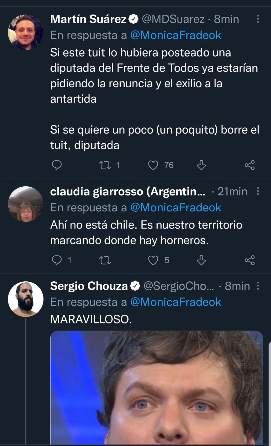 Los comentarios al mensaje erróneo de la Diputada Mónica Frade de Juntos por el Cambio, con la confusión entre el hábitat del hornero y la geografía de la Patagonia de Chile