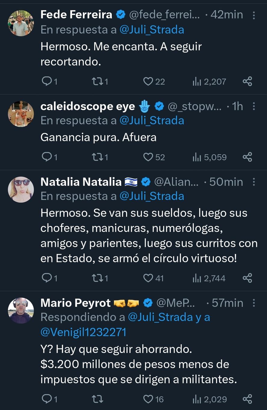 Los comentarios al posteo, que se volvió tendencia, de la diputada Julia Strada acerca del ajuste en "los gastos de la política" Los comentarios al posteo, que se volvió tendencia, de la diputada Julia Strada acerca del ajuste en "los gastos de la política"