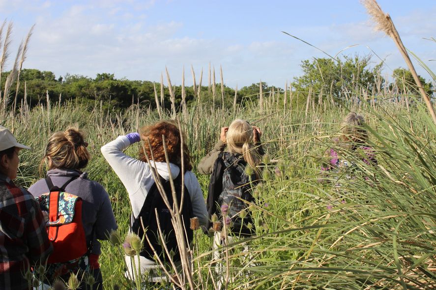 Madariaga apuesta por el turismo de observación de aves