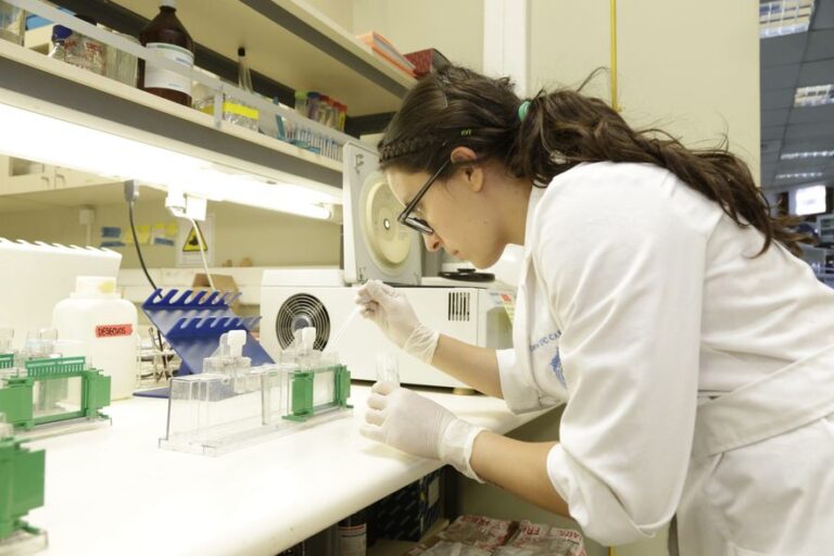 El CONICET abre una propuesta para universitarios interesados en la investigación