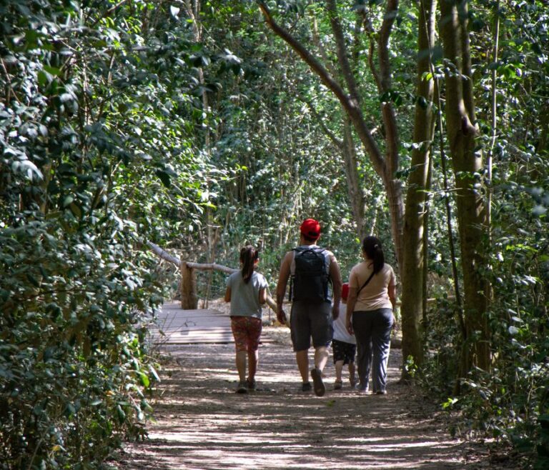 Turismo en la Provincia: 3 reservas naturales bonaerenses para disfrutar en invierno