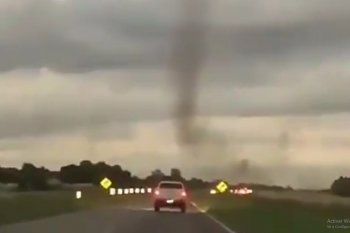 tornado de mosquitos en el camino de madariaga a pinamar