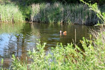 Advierten sobrel los peligros de meterse en cavas y canteras