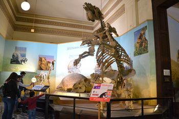 la vuelta al museo de la plata: cuanto cuesta y como es el nuevo recorrido