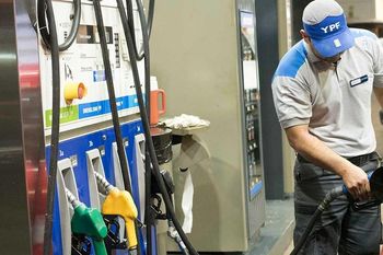 usar o no naftas premium: el debate sobre un combustible que alimenta motores y egos