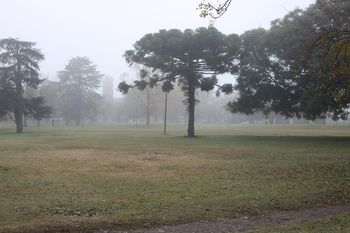Alerta violeta por niebla en la Provincia: ¿hasta cuándo durará?