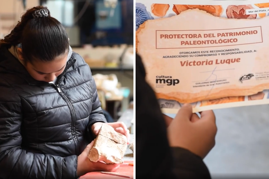 Victoria es una niña de 12 años que encontró un fósil en Mar del Plata. Se trata de restos de la especie de ese animal terrestre gigante más grande que existió.