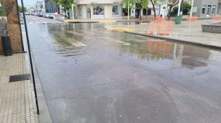 Desagües chicos, inundación y pérdida millonaria: una insólita historia bahiense