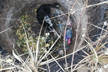 El perro había caído a un pozo de tres metros de prodfundidad (Foto: Bomberos de San Patricio)
