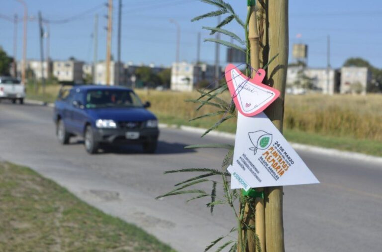En tiempos de deforestación llaman a “Plantar Memoria”