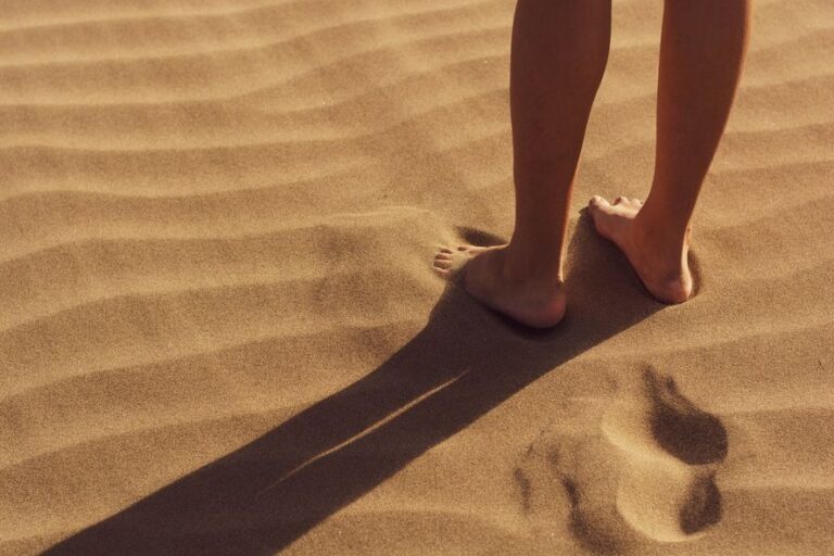 PreViaje: última semana para quienes planean viajar en enero
