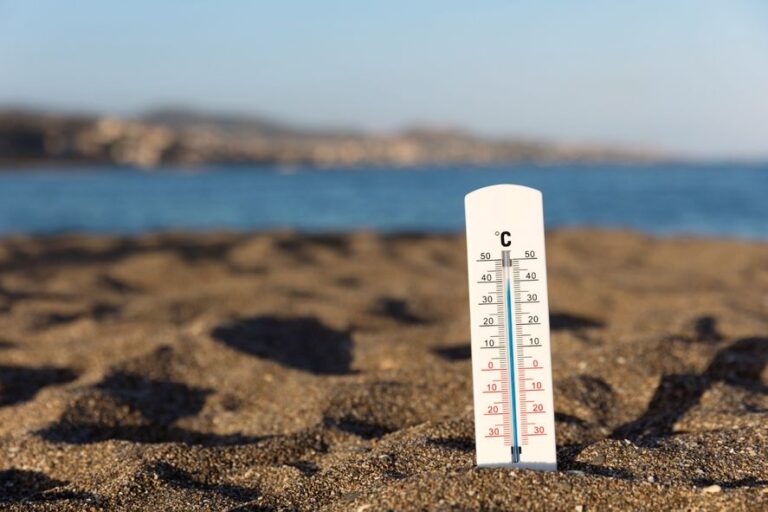 La semana más calurosa: el planeta alcanzó un nuevo récord histórico de temperaturas