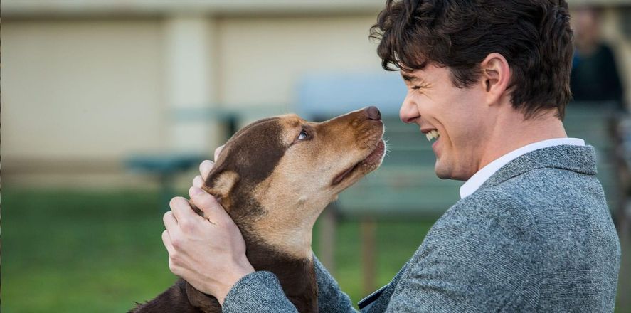 Este drama norteamericano es la tercera película más vista de Netflix en Argentina, y una gran opción para ver este fin de semana largo.