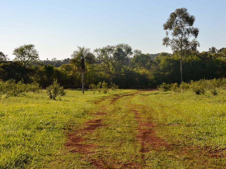 Ruta Natural de la Selva Misionera