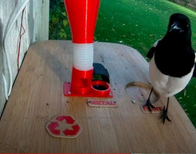 Pájaros cambian basura por comida en una original máquina