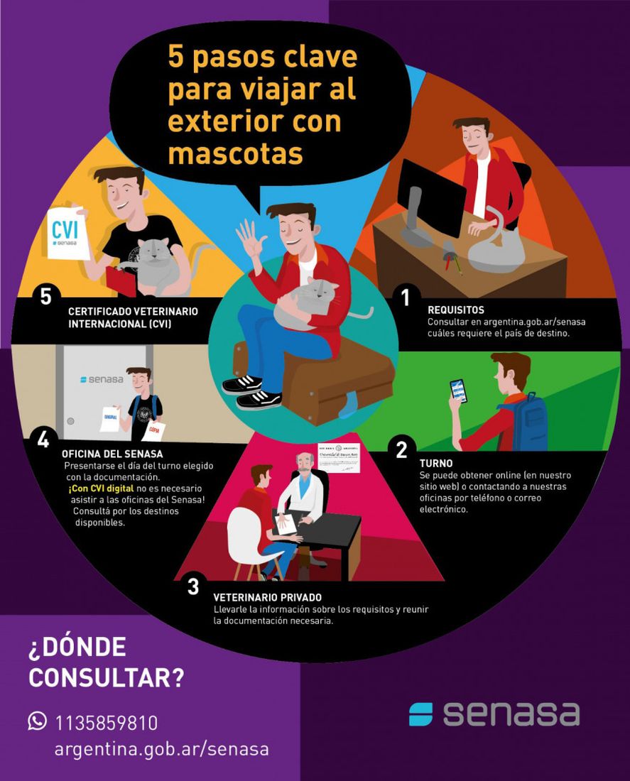 Los 5 pasos a tener en cuenta para viajar al exterior con mascotas.