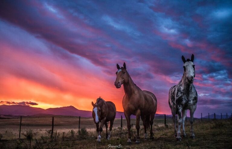 Las fotos de Sierra de la Ventana que son furor en redes sociales
