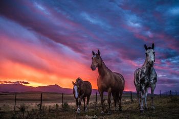 Las fotos de Sierra de la Ventana que son furor en redes sociales
