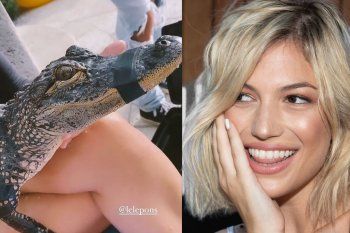 el descargo de stefi roitman sobre la polemica del lagarto