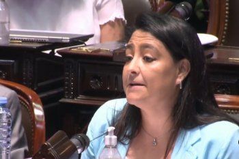 violencia de genero, vacuna y el derrape de una diputada pro