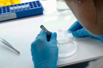 El Ministerio de Salud difundió un nuevo parte epidemiológico de coronavirus.
