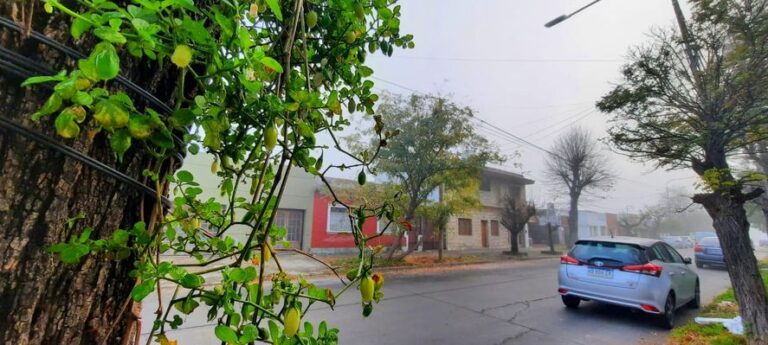 El tiempo en La Plata: día nublado y probabilidad de agua hasta la tarde