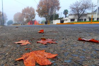 El tiempo: fin de semana con clima fresco y con probabilidad de lluvia en la noche del domingo. 