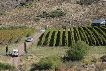 paisajes rurales, platos tipicos, playas, bodegas y mas: que actividades hacer en la provincia