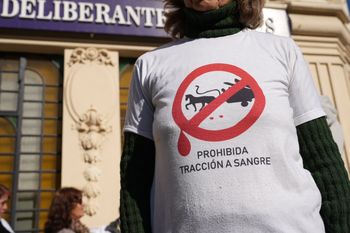 lanus es el primer municipio del pais en declarar a los equinos como seres sintientes