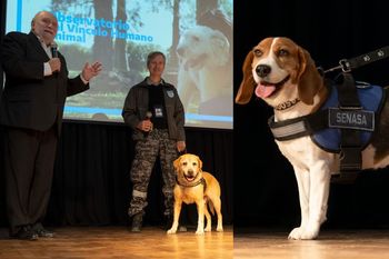 Cómo será el primer Observatorio de Vínculo Humano-Animal ubicado en Berazategui.