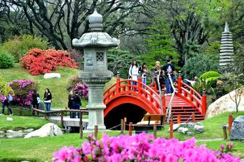 Vacaciones de Invierno en Buenos Aires: más de 650 planes en agenda